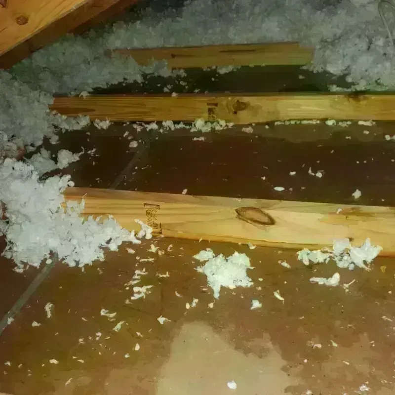 Attic Water Damage in Moweaqua, IL