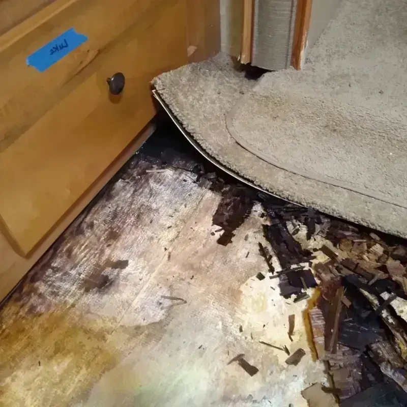 Best Wood Floor Water Damage Service in Moweaqua, IL